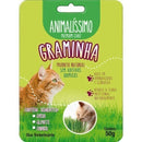 Graminha Para Gatos Natural Animalissimo 50g