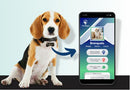Pingente Localizador Identificação Pet Maps Ossinho