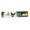 Creme Dental Menta Power Pets Clean 90g