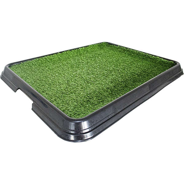 Sanitário Higiênico Pet Injet Xixi Pets Green Black Edition