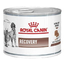 Ração Úmida Royal Canin Recovery Cães e Gatos 195g