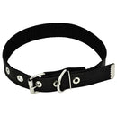 Coleira Corino Reforçado Preta 49x2,5x0,3cm São Pet