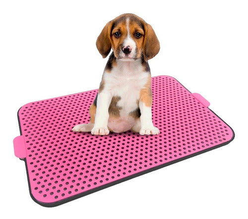 Sanitário Higiênico Pet Xixi Procanine 60x40 Rosa