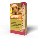 Antipulgas Advocate Cães 10 a 25kg 3 pipetas
